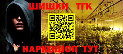 дживик Кингисепп