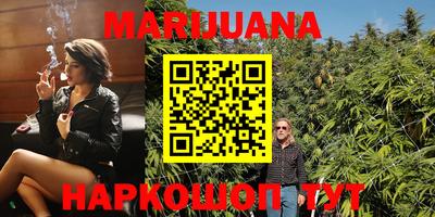 дживик Кингисепп