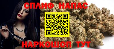 дживик Кингисепп